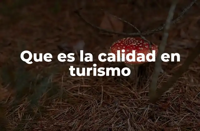 Que es la Calidad en Turismo