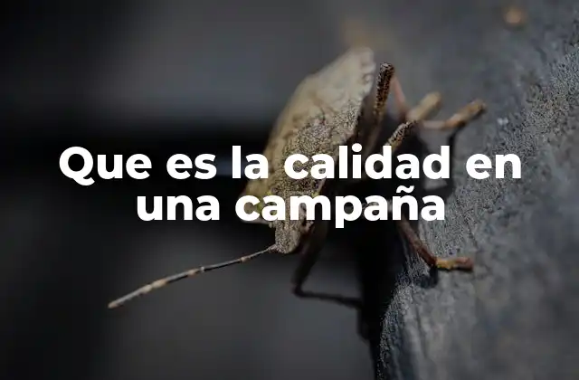 Que es la Calidad en una Campaña