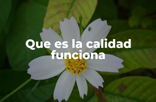 Que es la Calidad Funciona