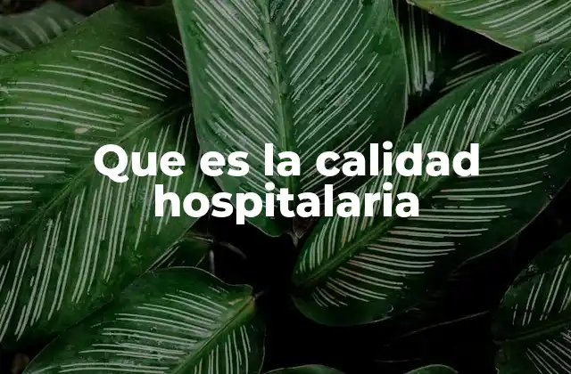 Que es la Calidad Hospitalaria