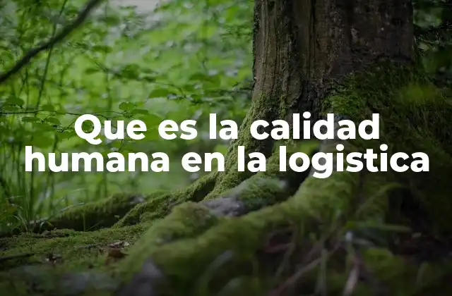 Que es la Calidad Humana en la Logistica 2 El rol del humano en una cadena logística eficiente