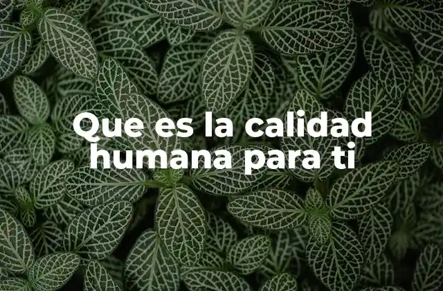Que es la Calidad Humana para Ti