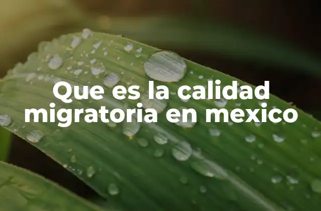 Factores que influyen en la calidad de la migración en México