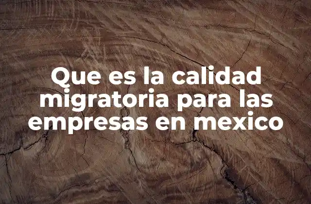 Que es la Calidad Migratoria para las Empresas en Mexico