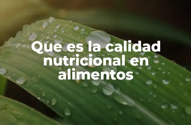La importancia de los alimentos en el bienestar humano