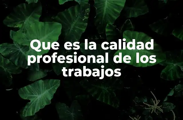 Que es la Calidad Profesional de los Trabajos