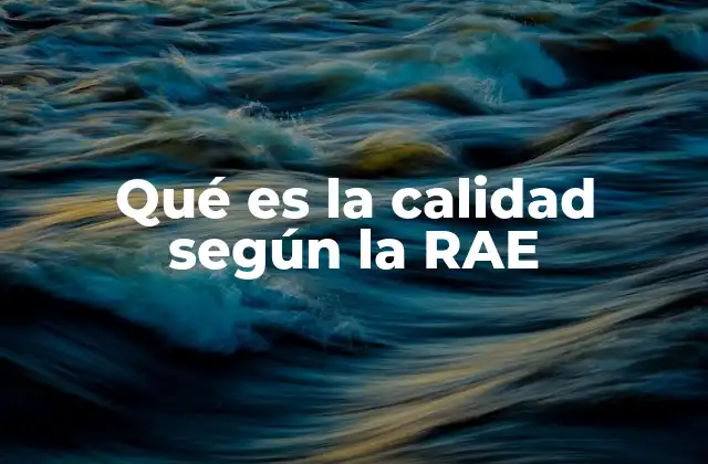 Qué es la Calidad según la Rae
