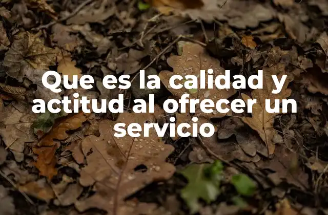 Que es la Calidad y Actitud Al Ofrecer un Servicio