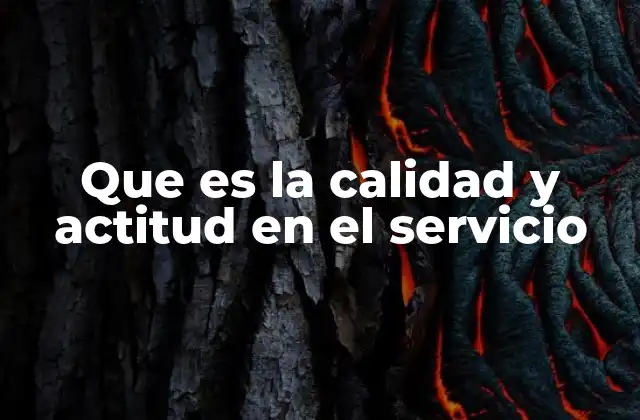 La importancia de la experiencia humana en la prestación de servicios