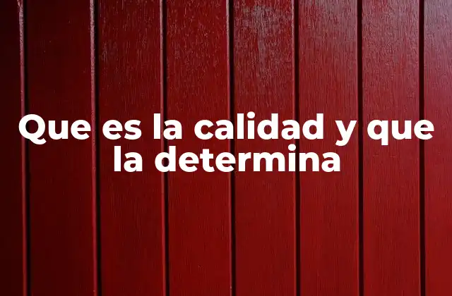 Que es la Calidad y que la Determina