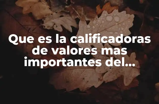 Que es la Calificadoras de Valores mas Importantes Del Mundo