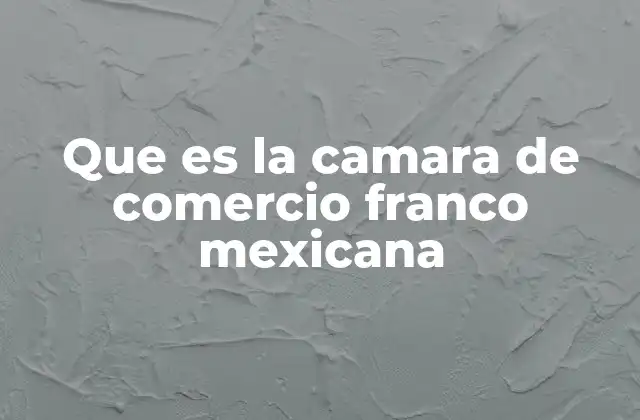Que es la Camara de Comercio Franco Mexicana