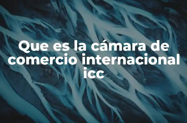 El rol de la ICC en la economía global