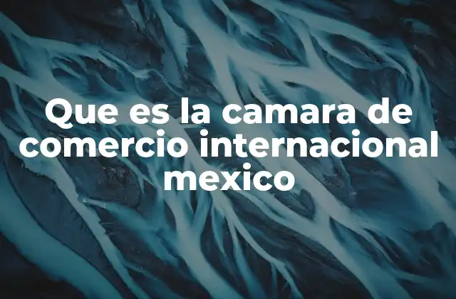 Que es la Camara de Comercio Internacional Mexico