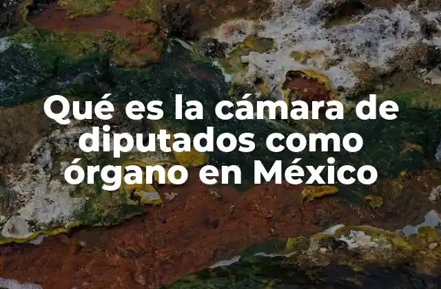 Qué es la Cámara de Diputados como Órgano en México