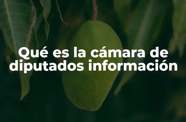 Qué es la Cámara de Diputados Información