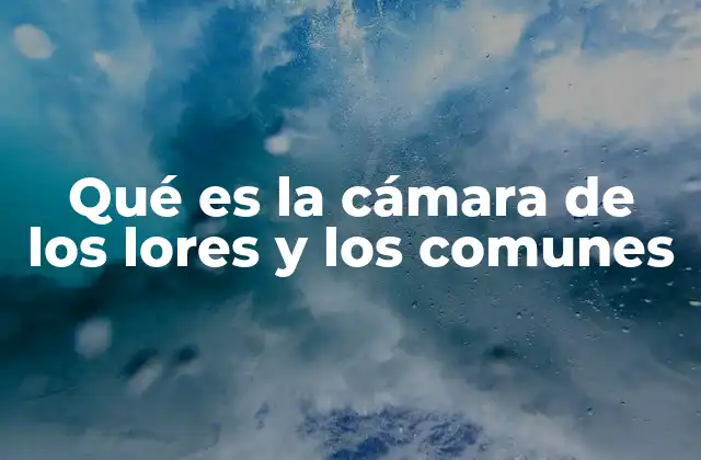 Qué es la Cámara de los Lores y los Comunes 2 El funcionamiento del sistema bicameral en el Reino Unido
