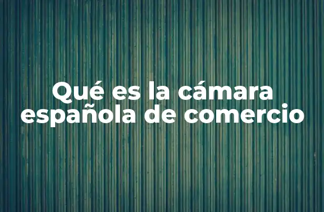 Qué es la Cámara Española de Comercio