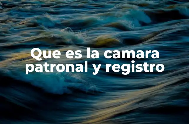 Que es la Camara Patronal y Registro