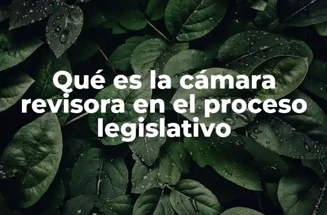 Qué es la Cámara Revisora en el Proceso Legislativo