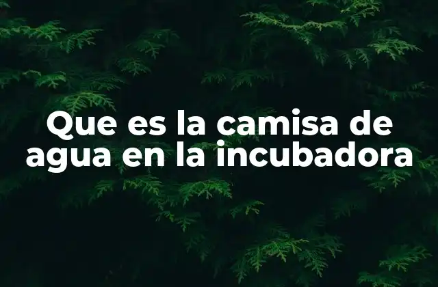 Que es la Camisa de Agua en la Incubadora
