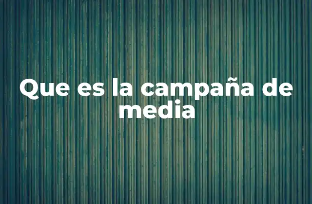 Que es la Campaña de Media