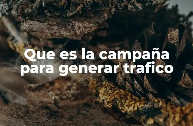Que es la Campaña para Generar Trafico