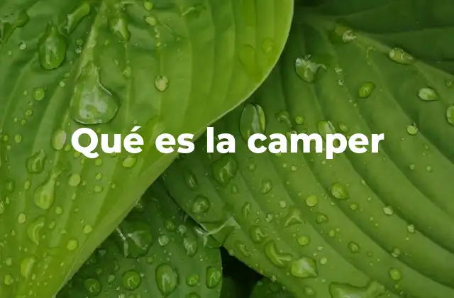 Qué es la Camper