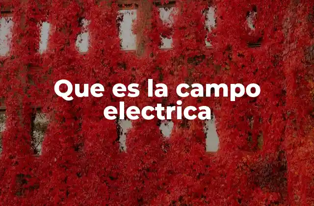 Que es la Campo Electrica