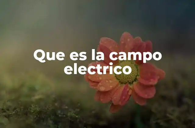 El concepto detrás de la interacción eléctrica