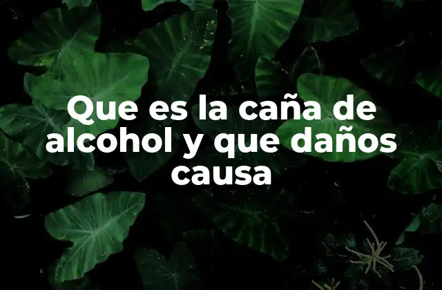 Que es la Caña de Alcohol y que Daños Causa