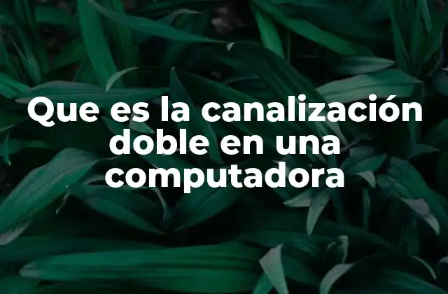 Que es la Canalización Doble en una Computadora
