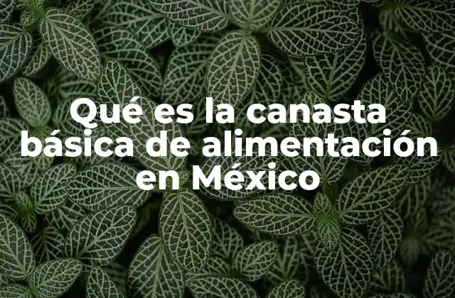 Qué es la Canasta Básica de Alimentación en México