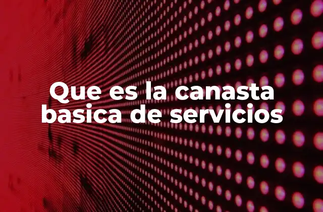 Que es la Canasta Basica de Servicios
