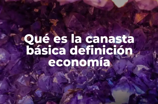 Qué es la Canasta Básica Definición Economía