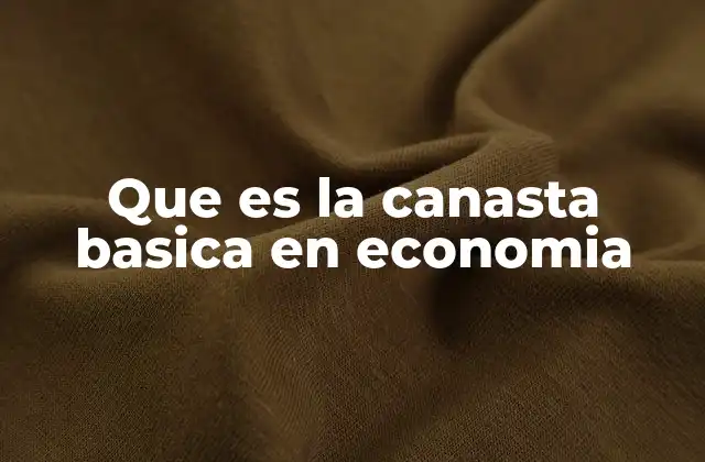 Que es la Canasta Basica en Economia
