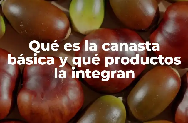 Qué es la Canasta Básica y Qué Productos la Integran