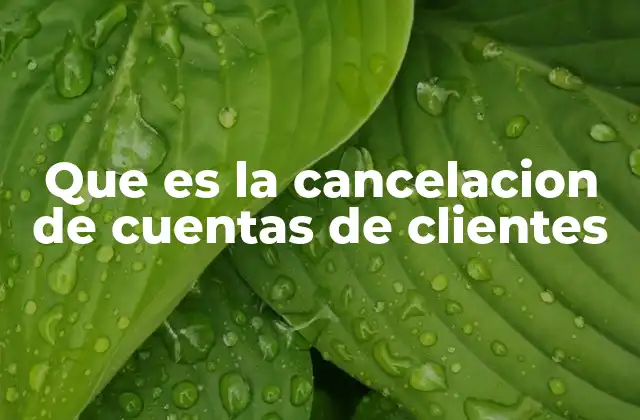 Que es la Cancelacion de Cuentas de Clientes 2 La importancia de entender la dinámica de abandono en las empresas
