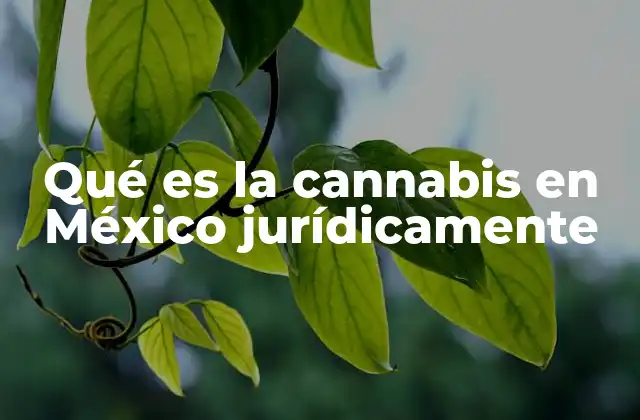 El contexto legal del cannabis en México