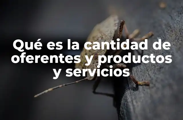 Qué es la Cantidad de Oferentes y Productos y Servicios