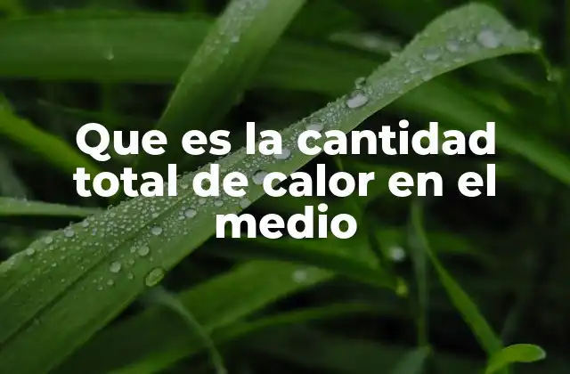 Que es la Cantidad Total de Calor en el Medio