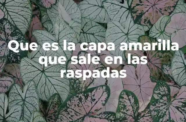 Que es la Capa Amarilla que Sale en las Raspadas