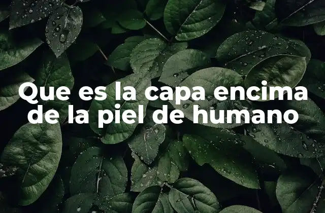 Que es la Capa Encima de la Piel de Humano