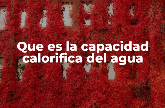 La importancia de la capacidad térmica en la naturaleza