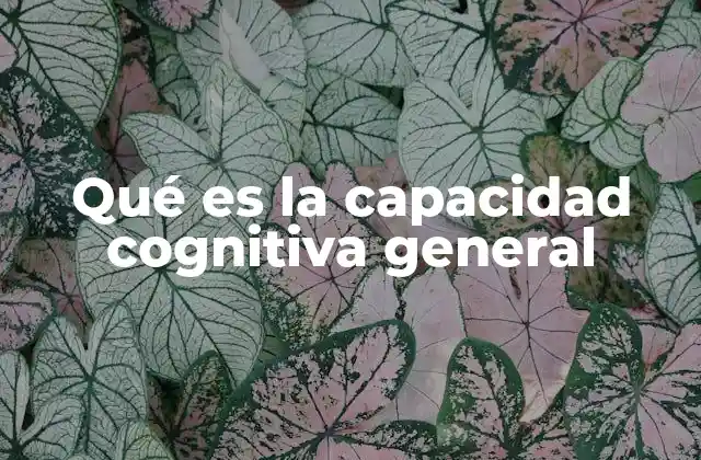 Qué es la Capacidad Cognitiva General 2 Cómo se manifiesta la capacidad cognitiva en el día a día