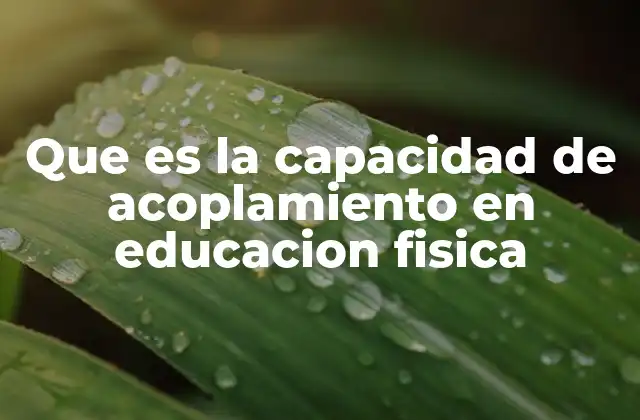 Que es la Capacidad de Acoplamiento en Educacion Fisica