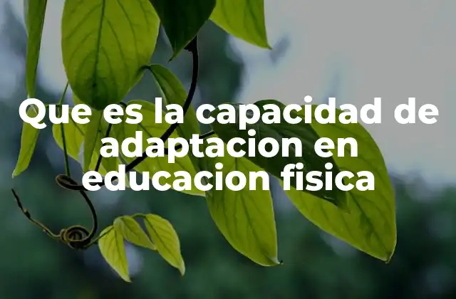 Que es la Capacidad de Adaptacion en Educacion Fisica