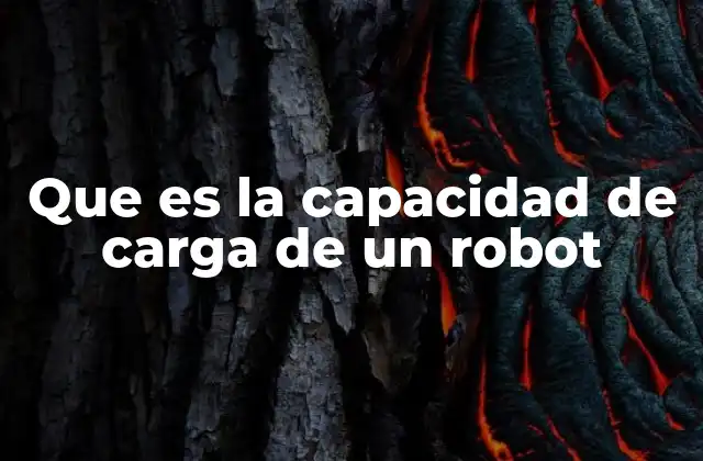 Que es la Capacidad de Carga de un Robot