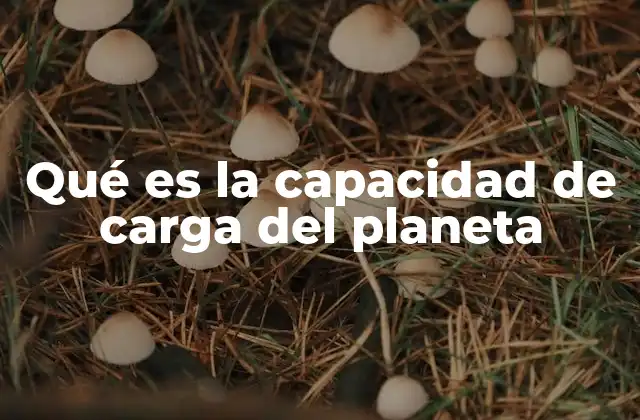 Qué es la Capacidad de Carga Del Planeta