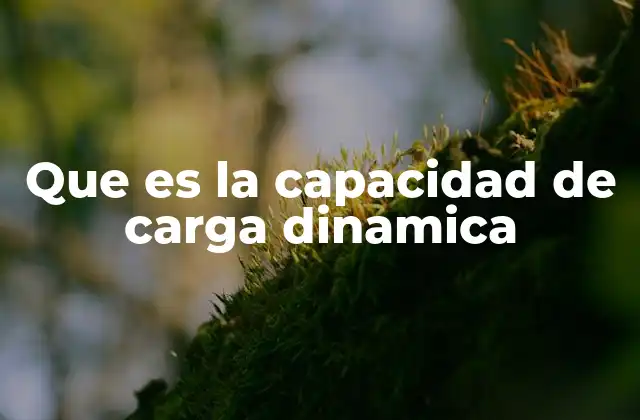 Que es la Capacidad de Carga Dinamica